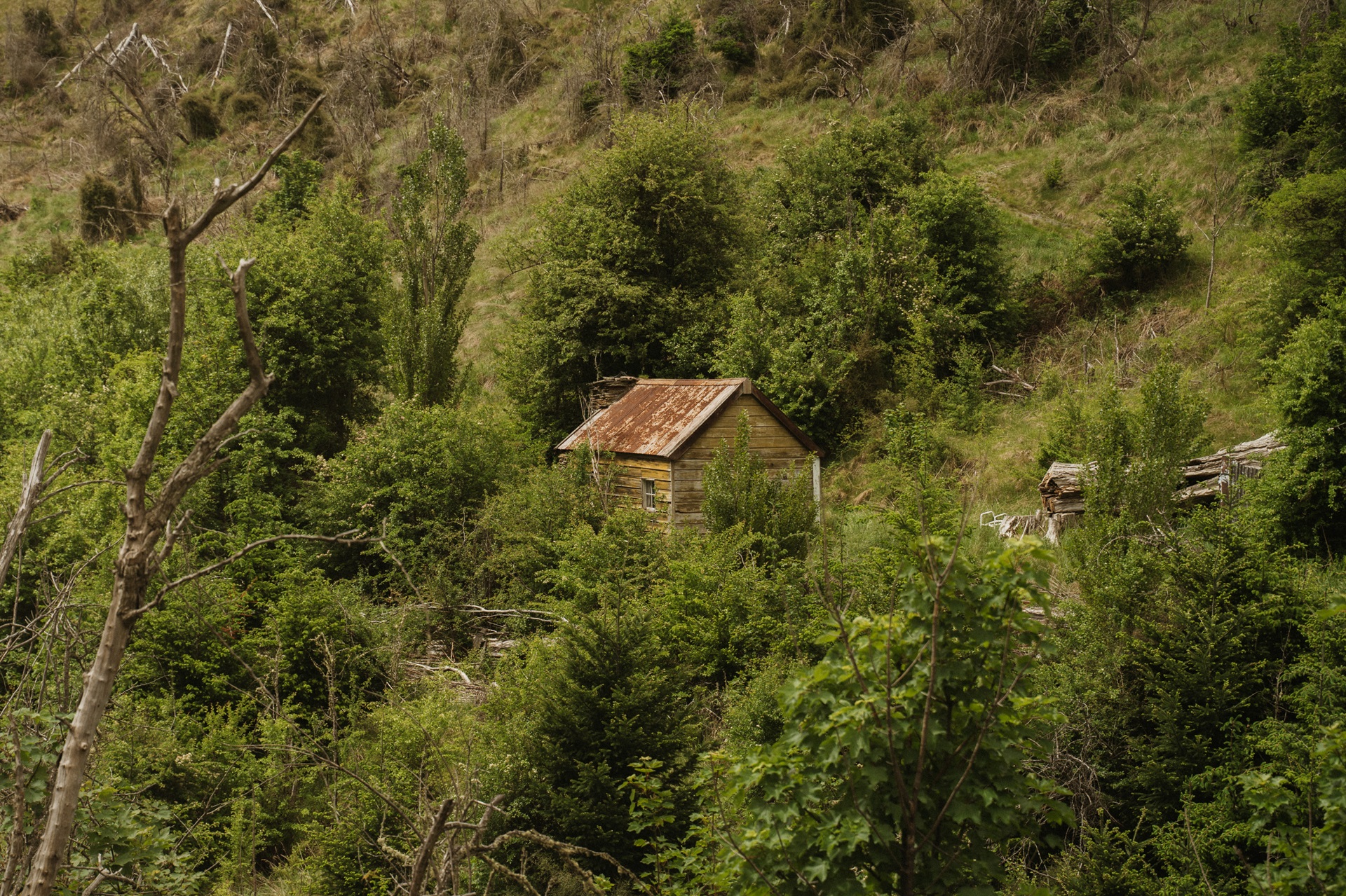 Balderson’s Hut 